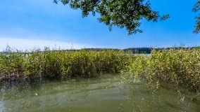 Zamordeje - zdjęcie 8