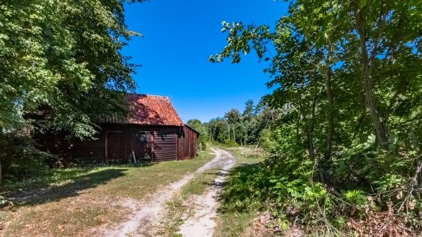 Zamordeje - zdjęcie 6