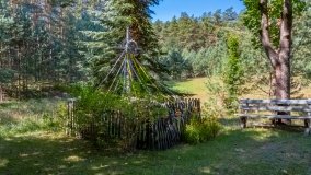 Zamordeje - zdjęcie 3