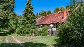 Zamordeje - zdjęcie 2