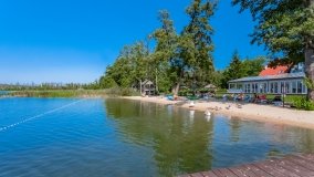 Jabłoń - zdjęcie 11