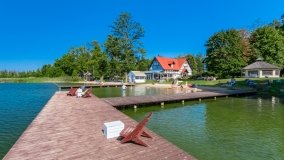 Jabłoń - zdjęcie 9