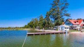 Jabłoń - zdjęcie 8