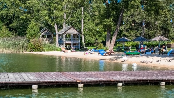 Jabłoń - zdjęcie 7