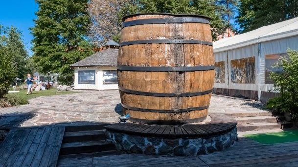 Jabłoń - zdjęcie 6