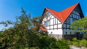 Jabłoń - zdjęcie 5