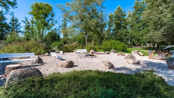 Jabłoń - zdjęcie 4