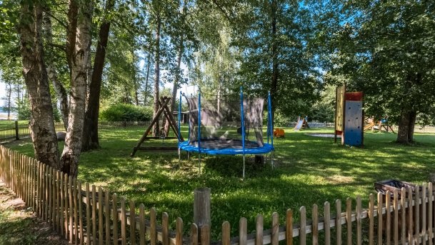 Jabłoń - zdjęcie 3