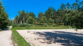 Jabłoń - zdjęcie 2