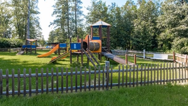 Jabłoń - zdjęcie 1