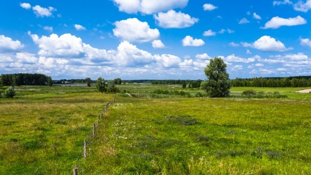 Kruklin - zdjęcie 14