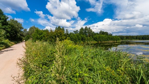 Kruklin - zdjęcie 6