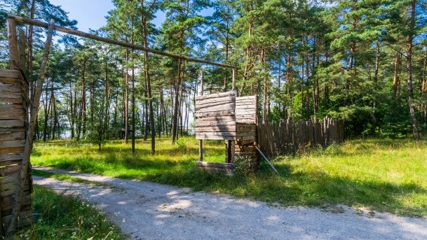 Kruklin - zdjęcie 5