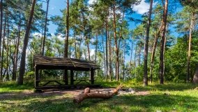 Kruklin - zdjęcie 2