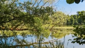 Mrągowo - zdjęcie 75