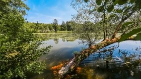 jezioro Czos - zdjęcie 21