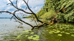 jezioro Czos - zdjęcie 7