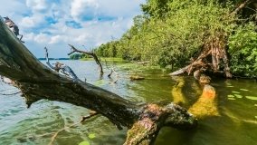 jezioro Czos - zdjęcie 6