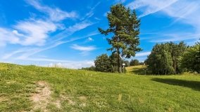 Mrągowo - zdjęcie 28