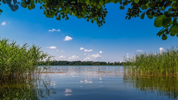 Ełckie - zdjęcie 7