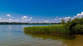 jezioro Ełckie - zdjęcie 12