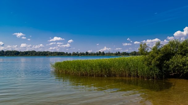 Ełckie - zdjęcie 6