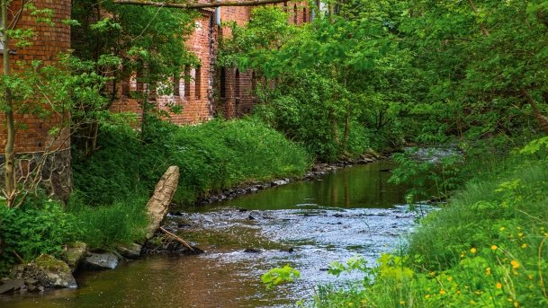 Kętrzyn - zdjęcie 119