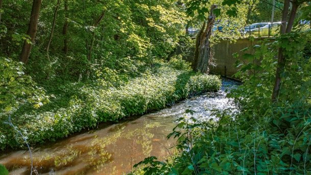 Kętrzyn - zdjęcie 5