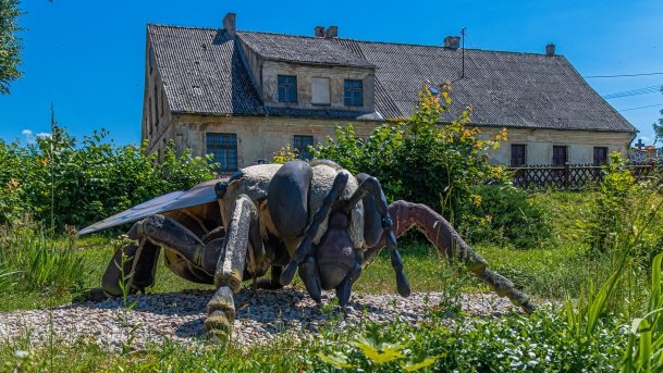 Stare Juchy - zdjęcie 57