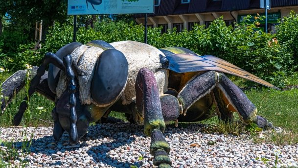 Stare Juchy - zdjęcie 54