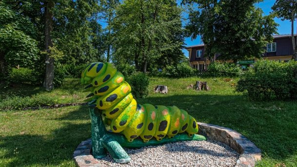 Stare Juchy - zdjęcie 51