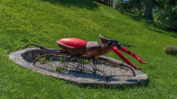 Stare Juchy - zdjęcie 50