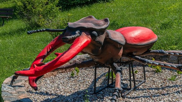 Stare Juchy - zdjęcie 49