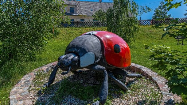 Stare Juchy - zdjęcie 46