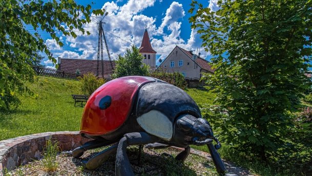 Stare Juchy - zdjęcie 44