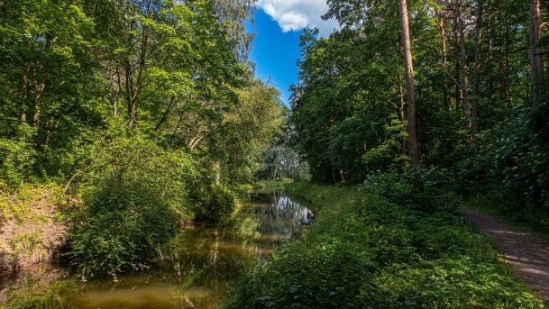 Stare Juchy - zdjęcie 19