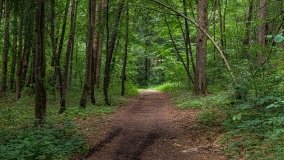 Stare Juchy - zdjęcie 18