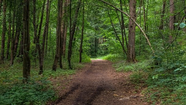 Stare Juchy - zdjęcie 18