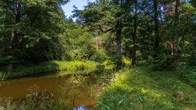 Stare Juchy - zdjęcie 17