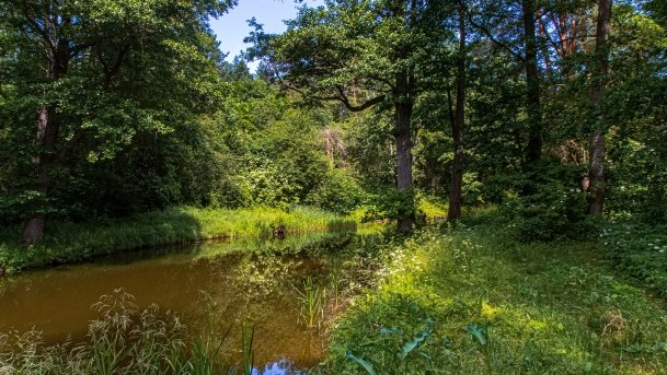 Stare Juchy - zdjęcie 17