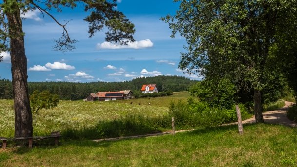 Lipowo - zdjęcie 40