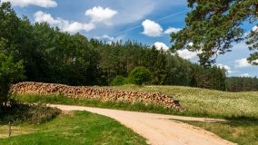 Lipowo - zdjęcie 36