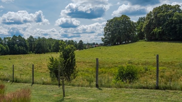 Lipowo - zdjęcie 35