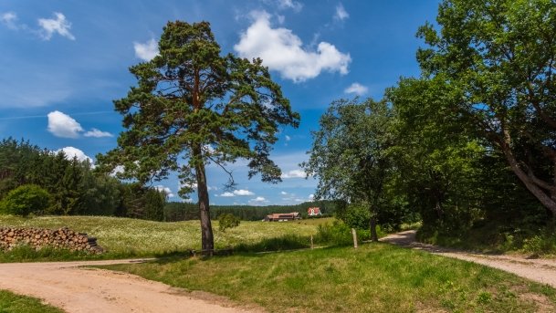 Lipowo - zdjęcie 32