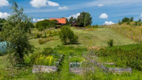 Lipowo - zdjęcie 29