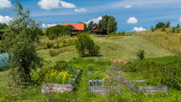 Lipowo - zdjęcie 29