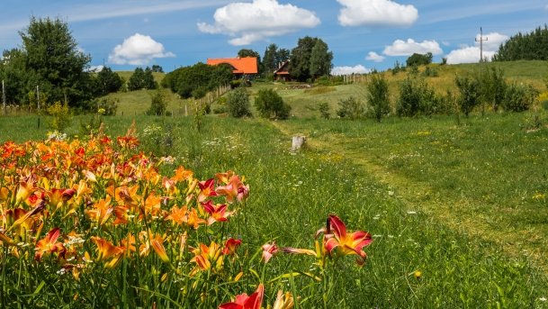 Lipowo - zdjęcie 28