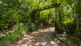 Lipowo - zdjęcie 27