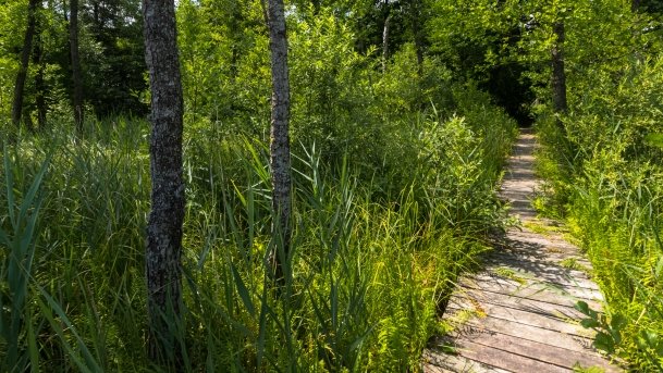 Lipowo - zdjęcie 26