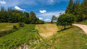 Lipowo - zdjęcie 25